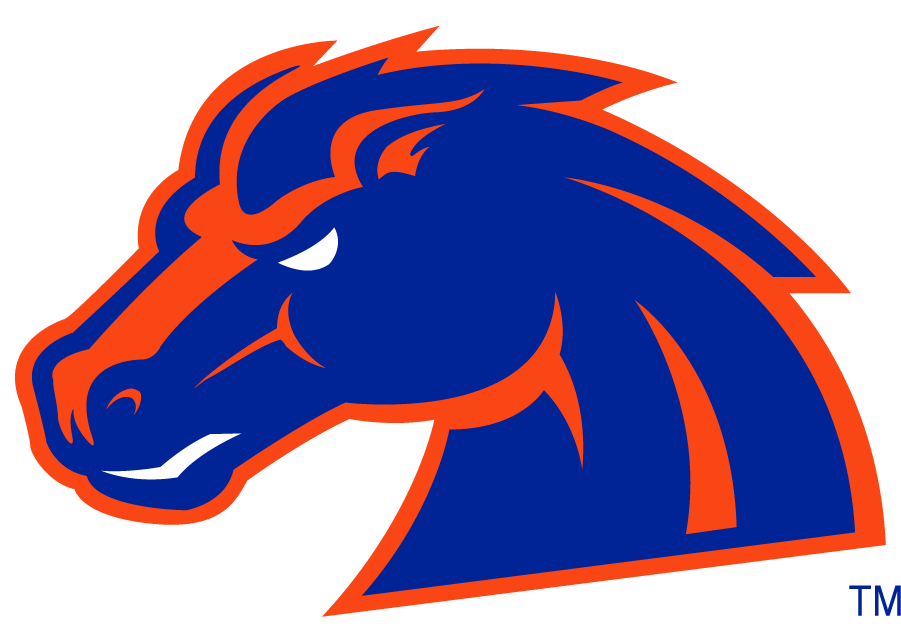 Boise State Broncos 2002-2012 Secondary Logo v5 iron on transfers for T-shirts